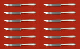 Silver Flutes by Towle Sterling Silver Steak Knife Set of 12 HHWS Custom 8 1/2"