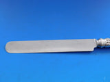 Olympian by Tiffany and Co Sterling Silver Banquet Knife Blunt HH WS 10 1/2"