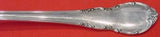 Modern Victorian by Lunt Sterling Silver Salt Spoon 2 5/8"
