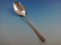 Northern Lights by International Sterling Silver Flatware Set Mid-Century Modern