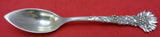 Holly by Tiffany and Co Sterling Silver Grapefruit Spoon 5 7/8" Antique