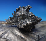 Carlo Foglia Italian .800 Silver Fish Serving Platter 2pc with Sea Life (#7300)