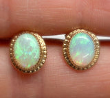 14k Yellow Gold Oval Genuine Natural Australian Opal Stud Earrings (#J7050)