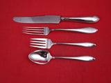 Linden by SSMC-Saart Sterling Silver Regular Size Place Setting 4pc