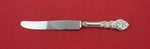 Valdres by Th. Marthinsen Norwegian .830 Silver Regular Knife French 8 3/8"