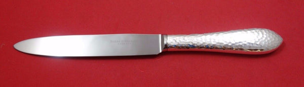 Martele by Robbe & Berking German Sterling Silver Dinner Knife Pointed 9 1/2"