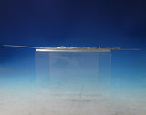 Poppy by Shiebler Sterling Silver Letter Opener 10" #1448 c.1890 (#5627)