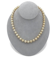 14k Yellow Gold Golden South Sea Pearl 9-10mm Strand Necklace 18.5" (#J7031)