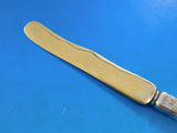 Lap Over Edge Acid Etched by Tiffany Sterling Dessert Knife GW HHAS w/ Branch