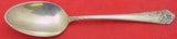 Ecstasy by Amston Sterling Silver Teaspoon 5 7/8" Flatware Heirloom Silverware