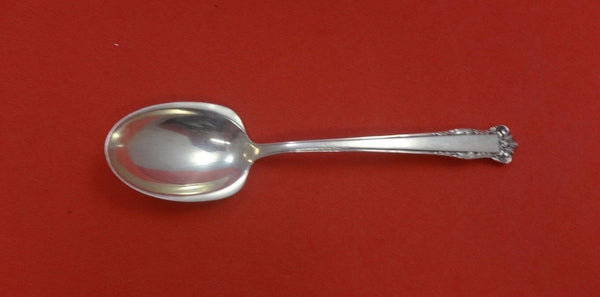 English Shell by Lunt Sterling Silver Sugar Spoon 5 7/8"