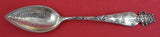 Sunny South by Shiebler Sterling Grapefruit Spoon GW "Jacksonville FLA" "1901"