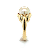 18k Yellow Gold 9.8mm Light Golden South Seas Pearl Ring Size 8.25 (#J6338)