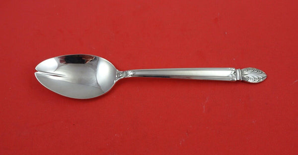 Colonial Classic by Reed and Barton Sterling Citrus Spoon unusual 6 1/8"