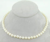 Akoya 6.5mm Saltwater Pearl Strand Necklace with 14k White Gold Clasp (#J4181)