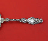 Lily by Whiting Sterling Silver Ice Spoon Serving Pierced Original 9" Rare