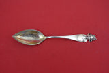 Sunny South by Shiebler Sterling Grapefruit Spoon GW "Jacksonville FL" 6 5/8"