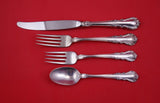 Melanie by Wallace Sterling Silver Regular 4-piece Place Setting