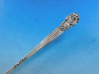 Georgian by Towle Sterling Silver Olive Spoon Long Unusual Not Pierced 8 1/2"