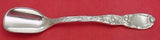 Chrysanthemum by Tiffany and Co Sterling Silver Cheese Scoop Original 7 1/4"
