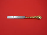 Demidoff Vermeil by Odiot French Sterling Silver Dinner Knife blunt 10 1/2"