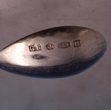 Blossom by Georg Jensen Sterling Silver Salt Dip with Spoon GI Mark (#8780)