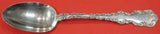 Louis XV By Whiting Sterling Silver Serving Spoon 8 1/4" Antique