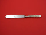 Berry by Whiting Sterling Silver Regular Knife Blunt with Currant Motif 8 1/2"