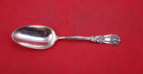 Iris by Durgin-Gorham Sterling Silver Pap Spoon damaged bowl 6 1/4"