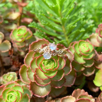 10k Rose Gold Two-Stone Genuine Natural Victorian Moonstone Ring (#J6927)