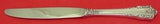 Rondelay by Lunt Sterling Silver Regular Knife Modern 9 1/8" Flatware
