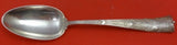 Amaryllis by Shiebler Sterling Silver Serving Spoon 8 1/2" Heirloom Silverware