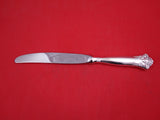 Cloister by Th. Marthinsen Sterling Silver Regular Knife modern 9 1/4"