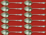 English Gadroon by Gorham Sterling Silver Grapefruit Spoon Custom Set 12p 5 3/4"