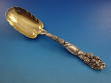 Blackberry by Tiffany and Co Sterling Silver Berry Spoon GW Leaf Shape 8 1/2"