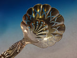 Vine by Tiffany and Co Sterling Silver Bon Bon Spoon Pierced Rare Daisy motif