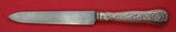 Olympian by Tiffany and Co Sterling Silver Banquet Knife French Pointed with SP