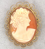 Gold Filled Genuine Natural Shell Cameo Brooch Pin Jewelry (#J7533)