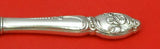 Enchanting Orchid by Westmorland Sterling Silver Regular Knife Modern 9 1/8"