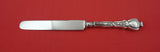 Du Barry by Durgin Sterling Silver Dinner Knife SP blunt blade 9 3/4"