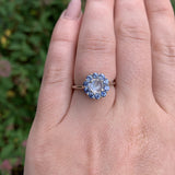 14k White Gold Genuine Natural Moonstone and Blue Sapphire Ring Size 7 (#J7617)