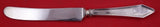Dixie by Manchester Sterling Silver Dinner Knife old French w/some dents 9 3/4"