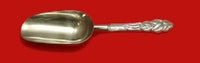 Ailanthus by Tiffany and Co Sterling Silver Ice Scoop HHWS 9 3/4" Custom