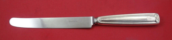 Saint Dunstan by Tiffany & Co. Sterling Silver Dinner Knife new french 10"