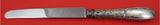 Audubon by Tiffany and Co Sterling Silver Dinner Knife French 10 1/8" Flatware
