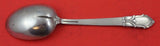 Palmette by Tiffany & Co. Sterling Silver Vegetable Serving Spoon 9"