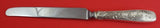 Audubon by Tiffany and Co Sterling Silver Regular Knife French 9 1/8" Flatware