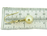 14k Yellow Gold 9.5mm Golden South Sea Pearl Dangle Earrings (#J4615)