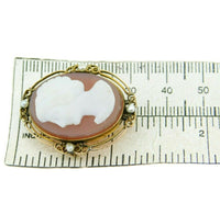 Victorian Agate Hard Stone Cameo Pin with Pearls (#J332)