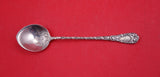 Chrysanthemum by Durgin Sterling Silver Chocolate spoon long pointed 5 1/4"